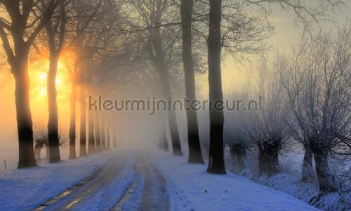 Winterochtend fottobehaang 0007 Holland Noordwand
