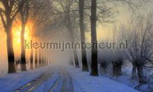 Winterochtend fotomurales Noordwand Holland 0007