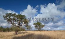 Hoge Veluwe fototapeten Noordwand weltkarten 