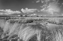 Veluwe fotomurales Noordwand Holland 0693