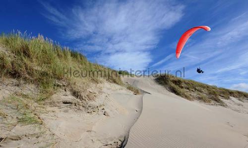 Duinen met kitevlieger fotobehang 1537 Zon - Zee - Strand Noordwand