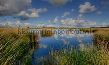 Dwingelderveld fotomurali Noordwand Sun Mare Spiaggia 