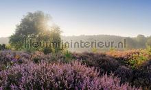 Posbank zonsopgang fototapeten Noordwand weltkarten 