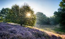 Posbank zonsopgang 2 fototapeten Noordwand weltkarten 