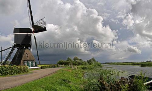 Vlietmolen fotobehang 2880 Bossen Noordwand