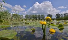 Eem fototapeten Noordwand Holland 3031