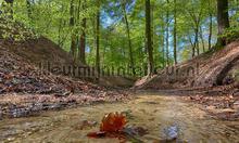 Mariendaal 2 fotomurali Noordwand Sun Mare Spiaggia 