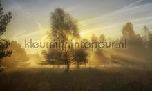 Herfstochtend 2 fotomurales Noordwand Holland 4611