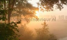 Doorwerth ochtendlicht fotomurales Noordwand Holland 4646