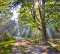 Holland photomural Noordwand