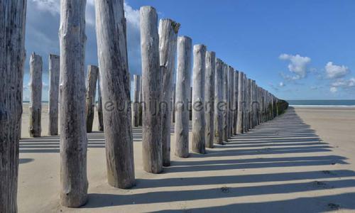 Strandpalen fotobehang 5520 Zon - Zee - Strand Noordwand