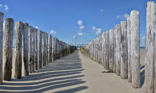 Strandpalen 2 photomural 5533 Holland Noordwand