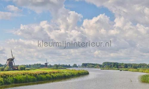 Rotte 2 fotobehang 6240 Bossen Noordwand