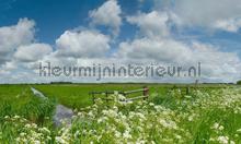 Nijkerk Arkenheem fototapeten Noordwand Holland 6516