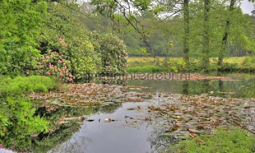 Hoge Veluwe vijver photomural 7575 Holland Noordwand