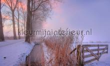 Winterochtend 2 fotomurales Noordwand Holland 9890