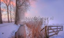 Winterochtend 2 fotobehang Noordwand Bossen 