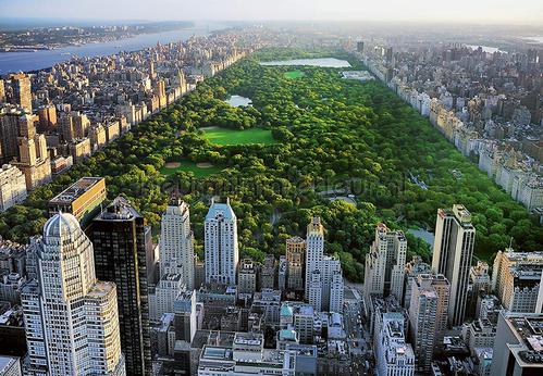 central park fotobehang 00163 Ideal-Decor Poster Ideal Decor