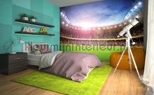 Stadium at night fotomurali 00167 sport Ideal Decor