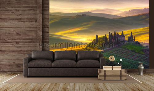 toscana papier murales 00978 Mural room set photo's Ideal Decor