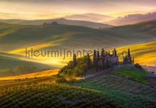 Toscana fotomurales Ideal Decor oferta 