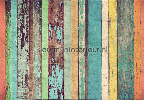 Coloured wooden wall papier murales 00966 offre Ideal Decor