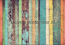 Coloured wooden wall fotomurales Ideal Decor oferta 