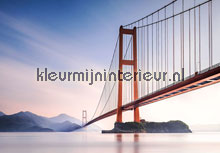 Xihou bridge fotomurales Ideal Decor oferta 