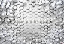 Titanium fotobehang Komar Grafisch Abstract 