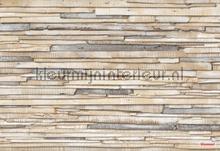 whitewashed wood photomural Komar Imagine Edition 3 Stories 8-920