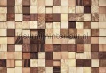 lumbercheck photomural 8-978 wood Komar