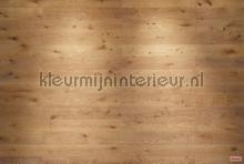 oak papier murales Komar Imagine Edition 3 Stories xxl4-027