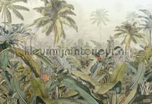 amazonia papier murales Komar Imagine Edition 3 Stories xxl4-063