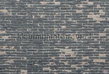 painted bricks fotomurais Komar Imagine Edition 3 Stories xxl4-067
