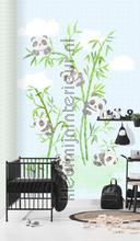 Koalas in de bamboo fotobehang Behang Expresse Kay and Liv ink7012