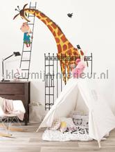 Giant Giraffe fotomurais WS-040 Kinderbehang Kek Amsterdam