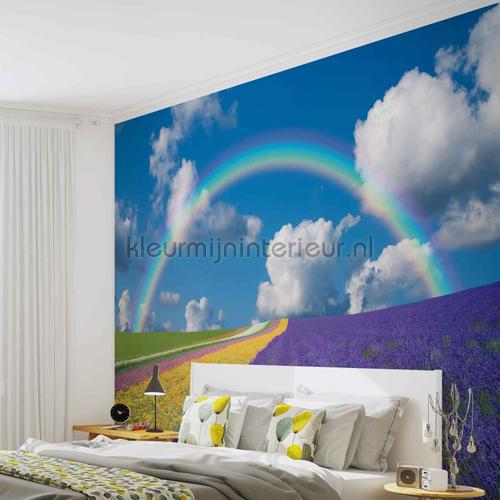 Rainbow fotobehang Landscape Kleurmijninterieur