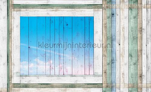 Panel with sky fotomurais madeira Kleurmijninterieur