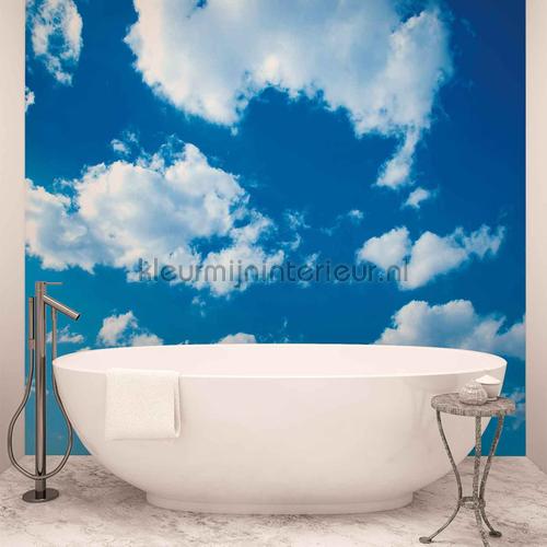 Cloudy sky fotobehang Kunst - Ambiance Kleurmijninterieur