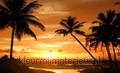 Sunset palms fotobehang Zon - Zee - Strand Thema