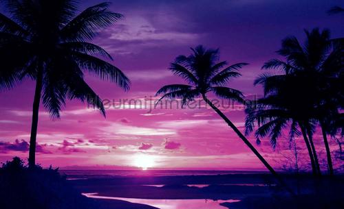 Violet sunset on the beach fotobehang Zon - Zee - Strand Kleurmijninterieur