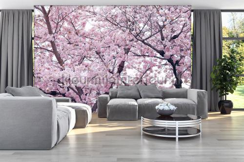 Kleur Mijn Interieur. Boerenbont Ruit Mm Zwart Gordijnen Landelijk ... Kleur Mijn Interieur. Boerenbont Ruit Mm Zwart Gordijnen Landelijk ...