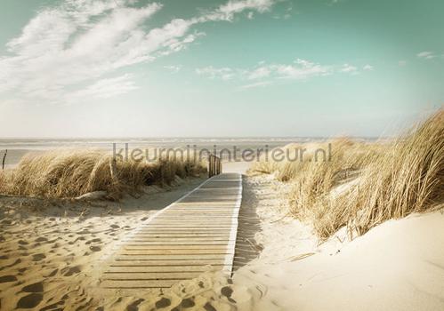 Beach path soft colors fotobehang Zon - Zee - Strand Kleurmijninterieur