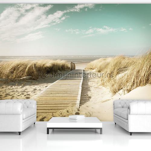 Beach path soft colors fotobehang Zon - Zee - Strand Kleurmijninterieur