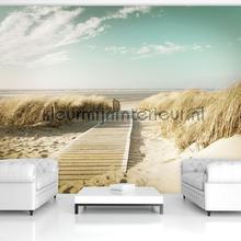 Beach path soft colors fotobehang Zon - Zee - Strand Kleurmijninterieur