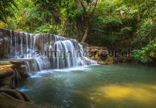 Waterfall in the forest fotomurales Kleurmijninterieur Todas-las-imgenes