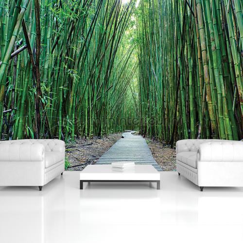 Bamboo forest fotomurali Foresta Kleurmijninterieur