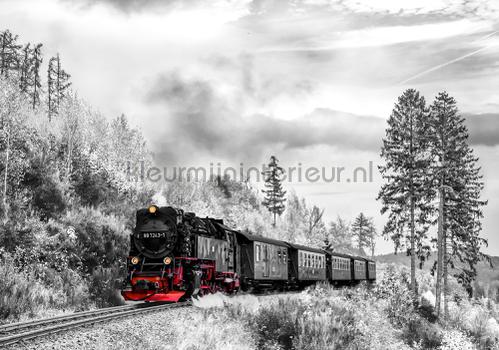 Loco fotobehang Landscape Kleurmijninterieur