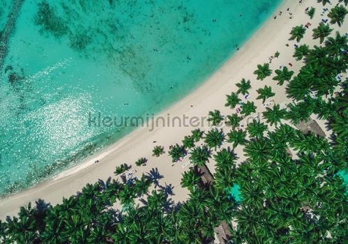 Beach from top view fotobehang Zon - Zee - Strand Kleurmijninterieur