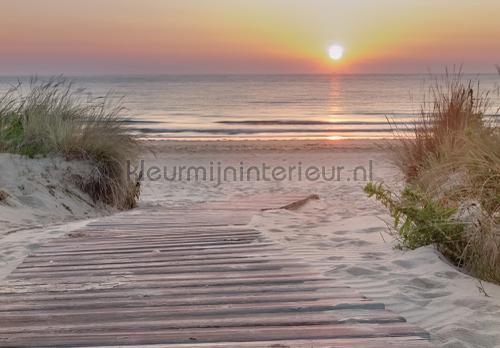 Dunes at sunset photomural Sun - Sea - Beach Kleurmijninterieur